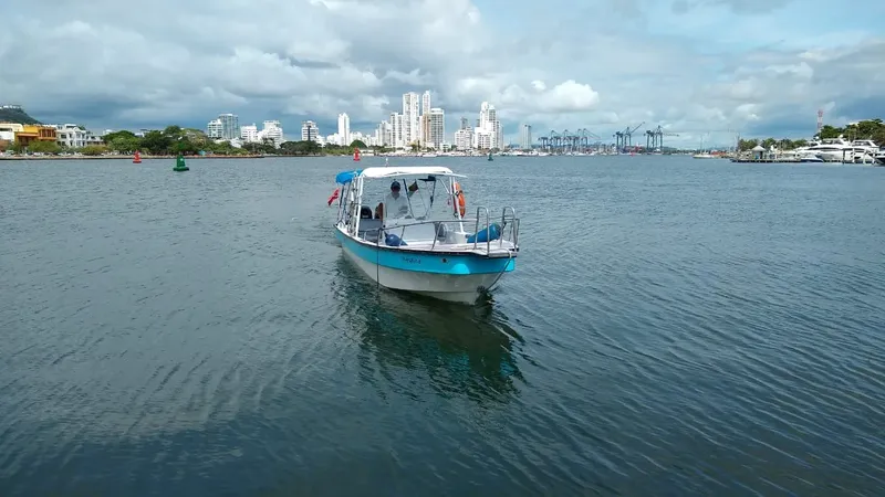 Bateau de plongée bleu naviguant sur une eau calme en ville