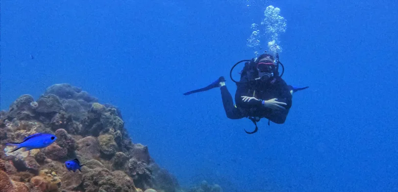Nautilus Dive Center Taganga - PADI 5 Star Dive Resort