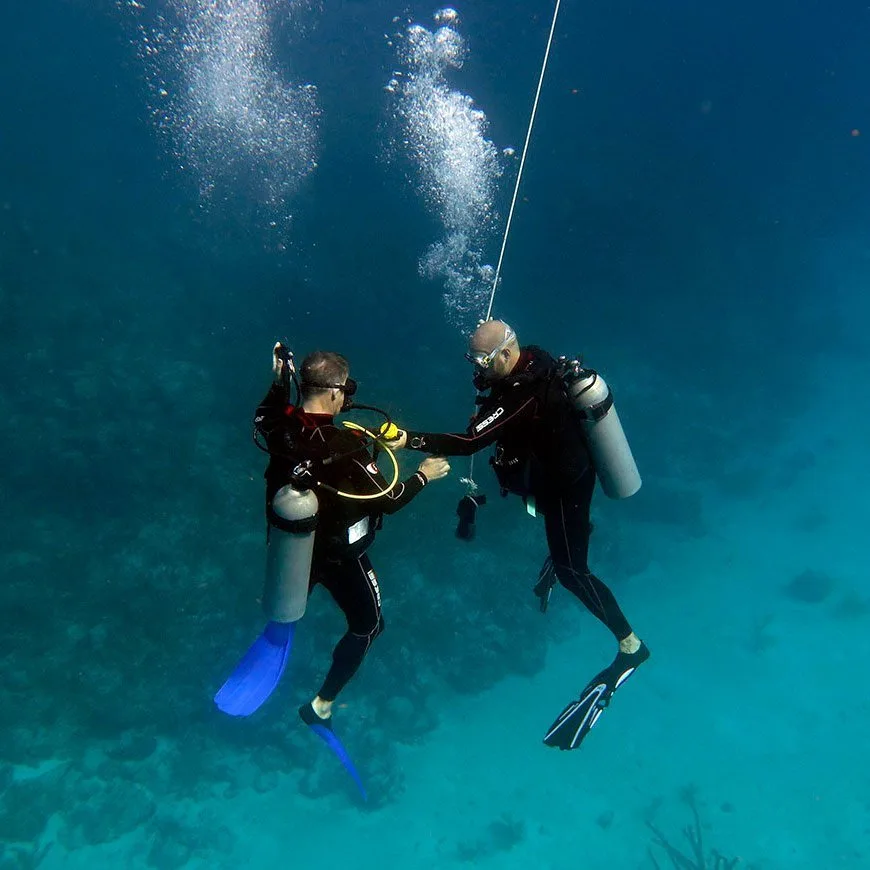 Deux plongeurs en combinaison s'observent dans une eau turquoise claire