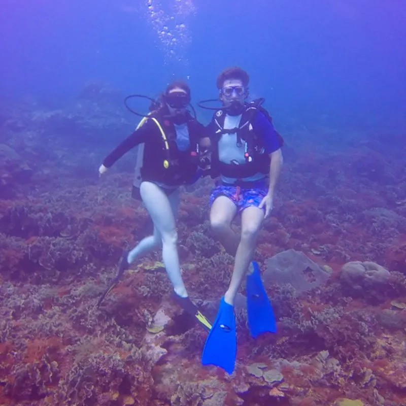 Deux plongeurs s'aventurent dans un récif corallien bleu et profond