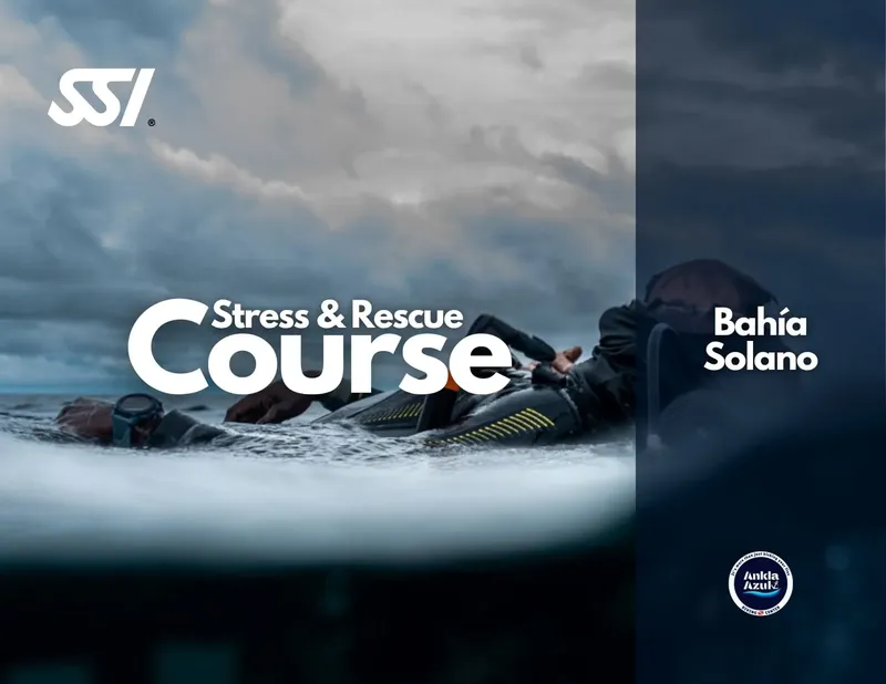 Plongeur en surface, formation Stress & Rescue, mer calme, cours SSI
