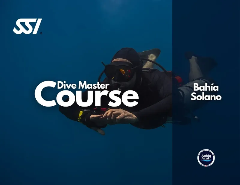 Plongeur en combinaison noire, formation Dive Master, eau turquoise claire