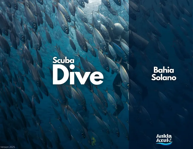 Banc de poissons argentés nageant en formation dans l'eau turquoise
