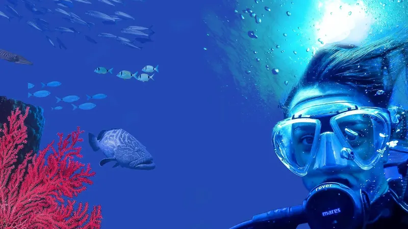Plongeur face caméra, poissons et corail en arrière-plan sous-marin