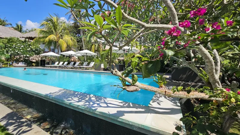 Piscine d'un centre de plongée avec transats et végétation tropicale