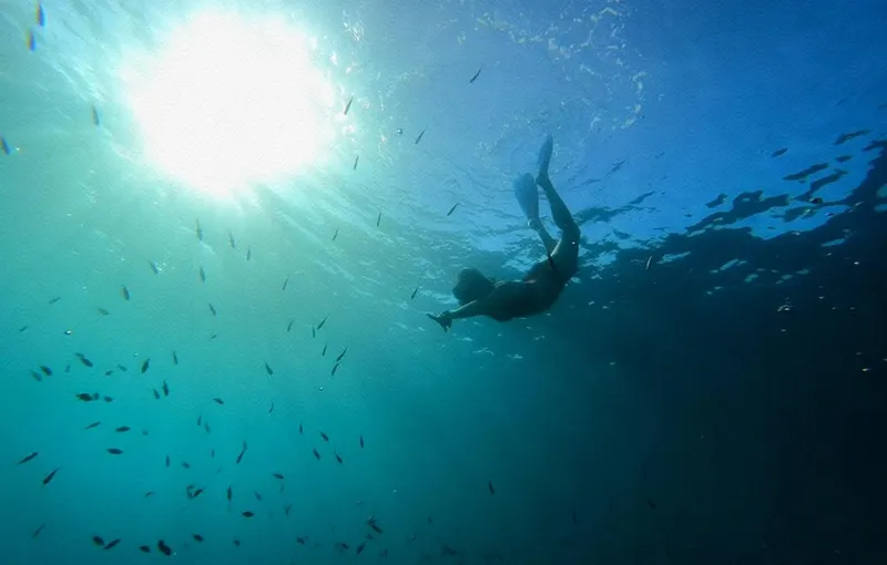 Apnea, un plongeur en apnée évolue au milieu d'un banc de poissons