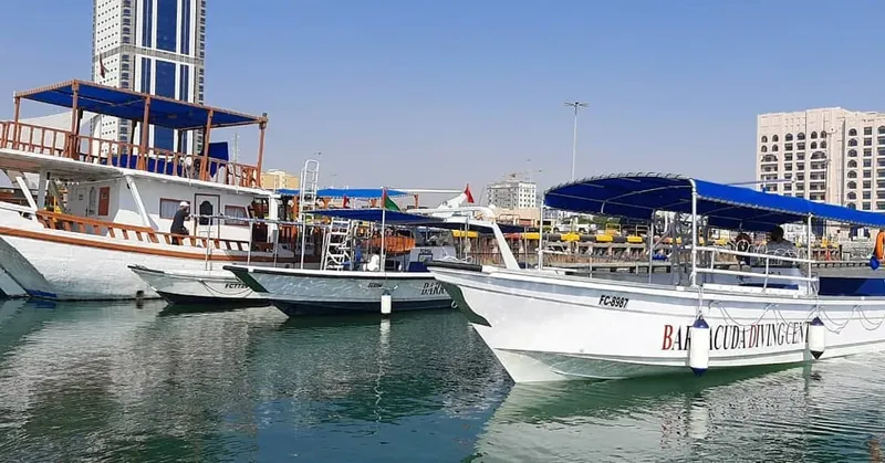 Plusieurs bateaux de plongée amarrés dans un port ensoleillé avec des personnes