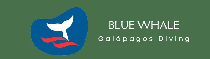 Logo bleu baleine et texte pour centre de plongée aux Galapagos
