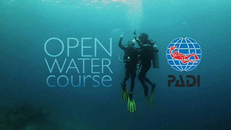 Deux plongeurs en formation Open Water, logo PADI visible