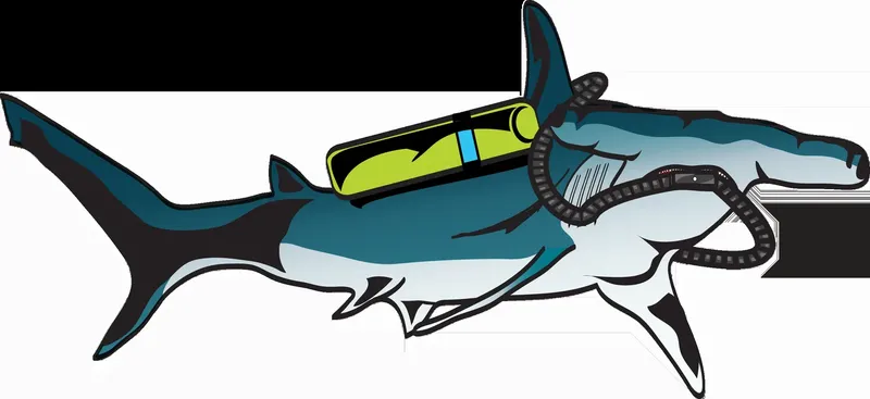 Requin marteau équipé de matériel de plongée illustration vectorielle