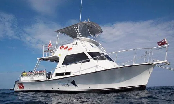 Bateau de plongée blanc et bleu sur l'océan avec des plongeurs