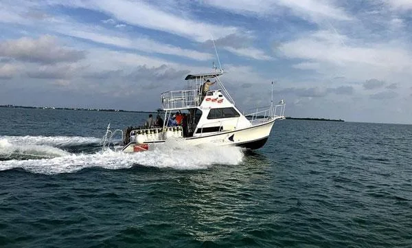 Bateau de plongée navigue sur une mer bleue avec des passagers