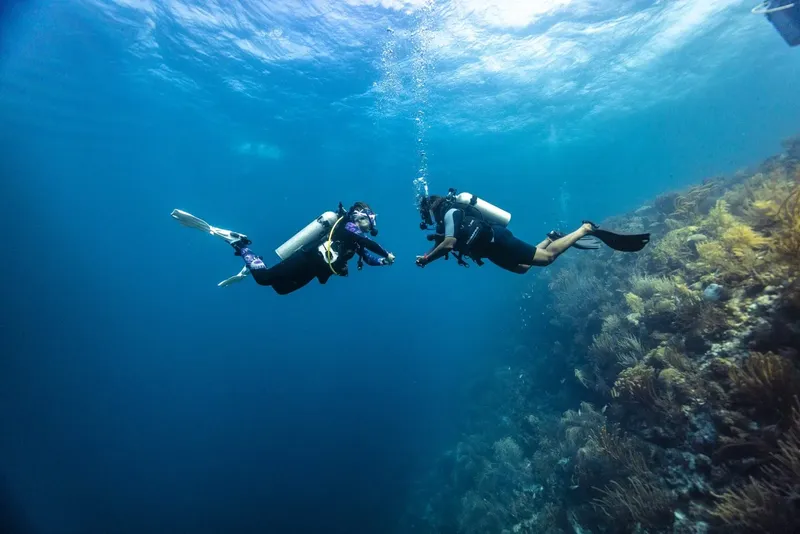 Deux plongeurs explorent un récifal corallien en eau bleue claire