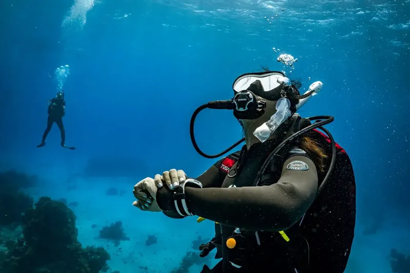 Deux plongeurs en combinaison explorent un fond marin bleu clair
