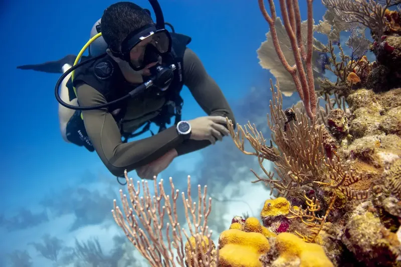 Plongeur explorant un récif corallien coloré en milieu aquatique