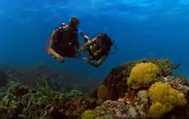 Deux plongeurs explorent un récif corallien sous l'eau bleue