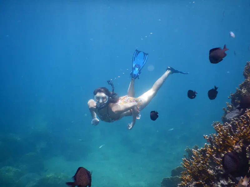 Une femme nageant avec un masque et un tuba au milieu des poissons