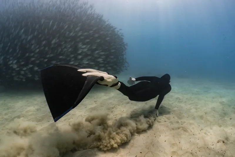 Apnea : un plongeur ajuste sa palme au milieu d'un banc de poissons
