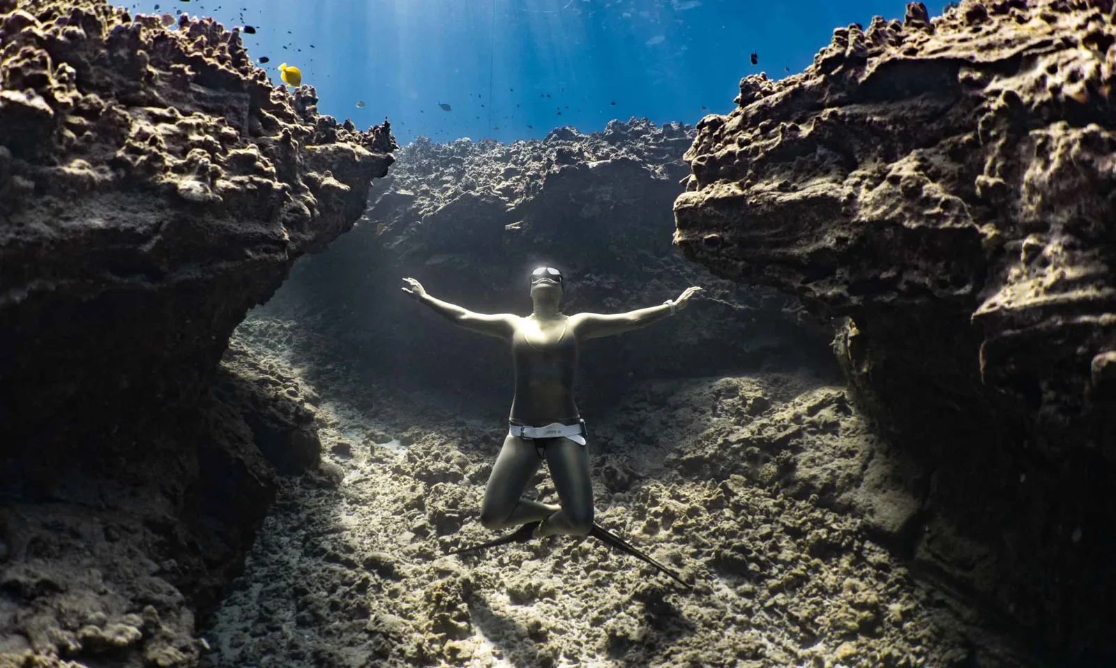 Kona Freedivers