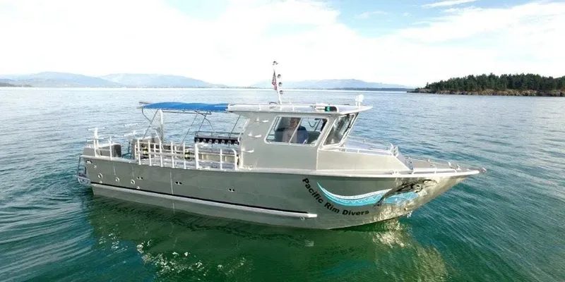 Bateau de plongée gris naviguant sur une mer calme et verte