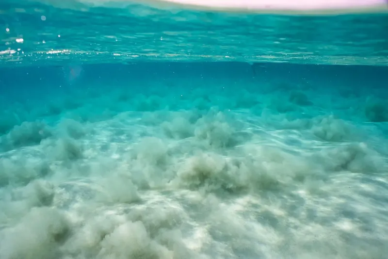 Vue sous-marine avec eau turquoise et sable clair mouvementé
