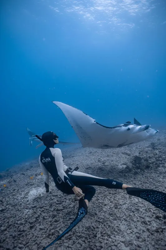 Apnea : une plongeuse interagit avec une raie manta dans l'océan
