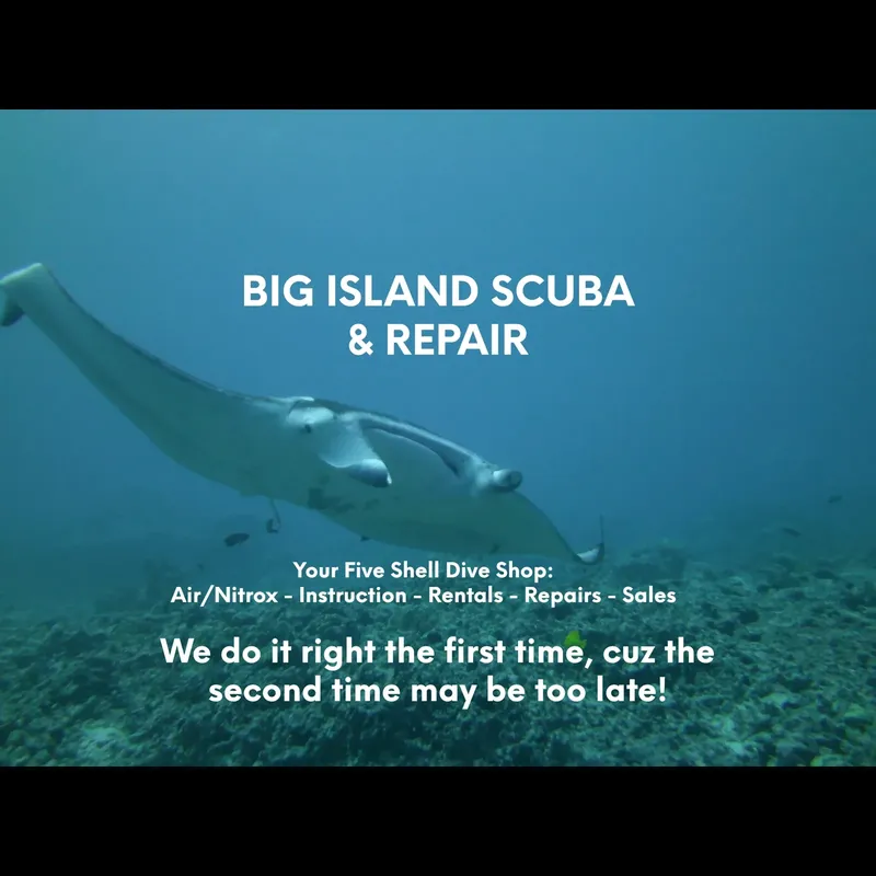 Raie manta nageant dans l'eau bleue avec texte publicitaire