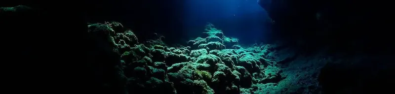 Coraux et formations rocheuses sous-marines dans une eau claire et profonde