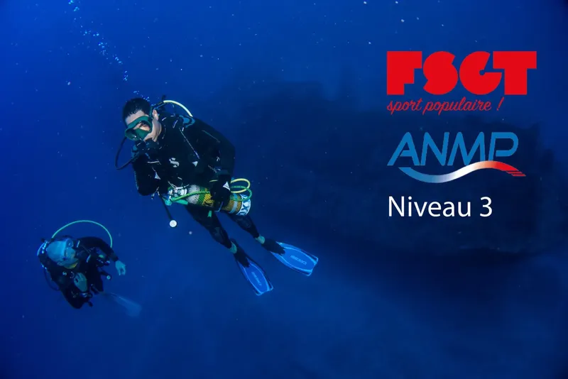 Deux plongeurs en combinaison explorent les profondeurs bleues de la mer