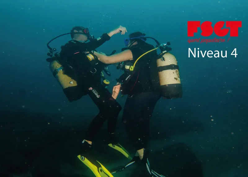 Deux plongeurs en combinaison explorent les fonds marins, niveau 4