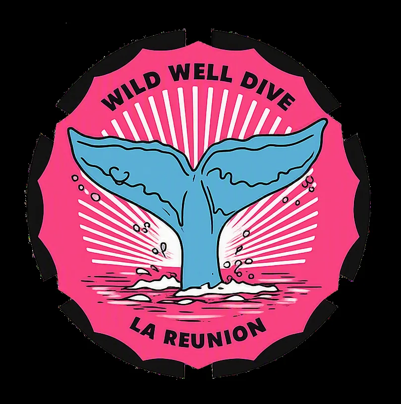 Illustration d'une queue de baleine bleue sur fond rose et rayonnant