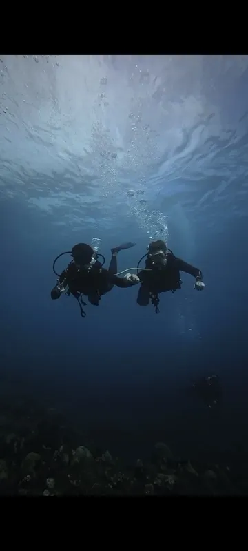Deux plongeurs explorent un récifal corallien en apnée dans l'eau bleue
