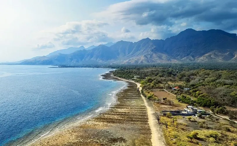 Côte rocheuse avec végétation luxuriante et bâtiments au bord de la mer