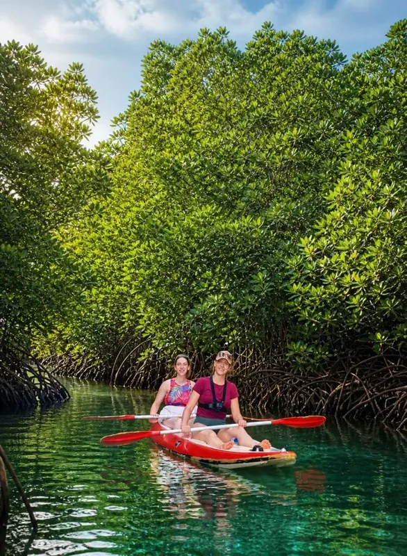 Deux femmes pagayent en kayak dans une mangrove luxuriante et turquoise