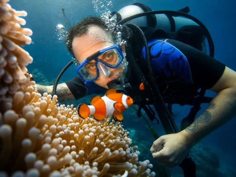 Plongeur face à face avec un poisson clown dans un récif corallien