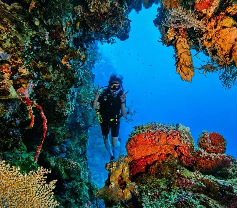 Plongeur explorant une grotte corallienne colorée en milieu marin