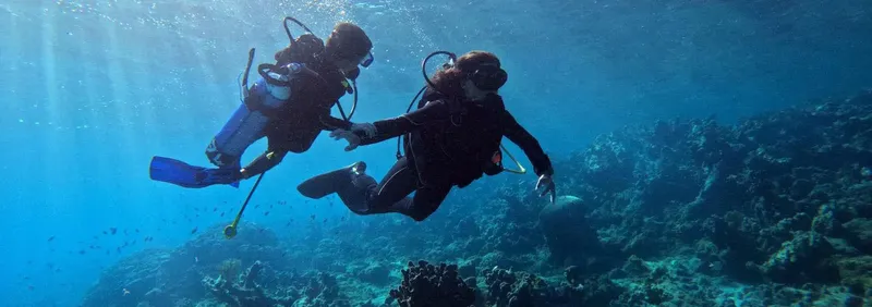 Deux plongeurs explorent un récifal corallien en eau bleue claire