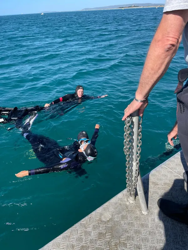 Plongeurs en surface près d'un bateau, préparation à une immersion