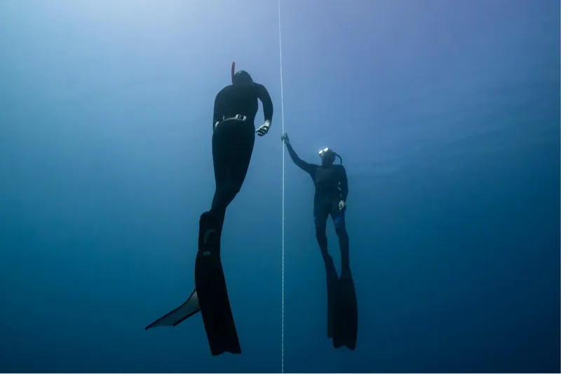 Deux apnéistes en combinaison plongent verticalement dans l'eau bleue