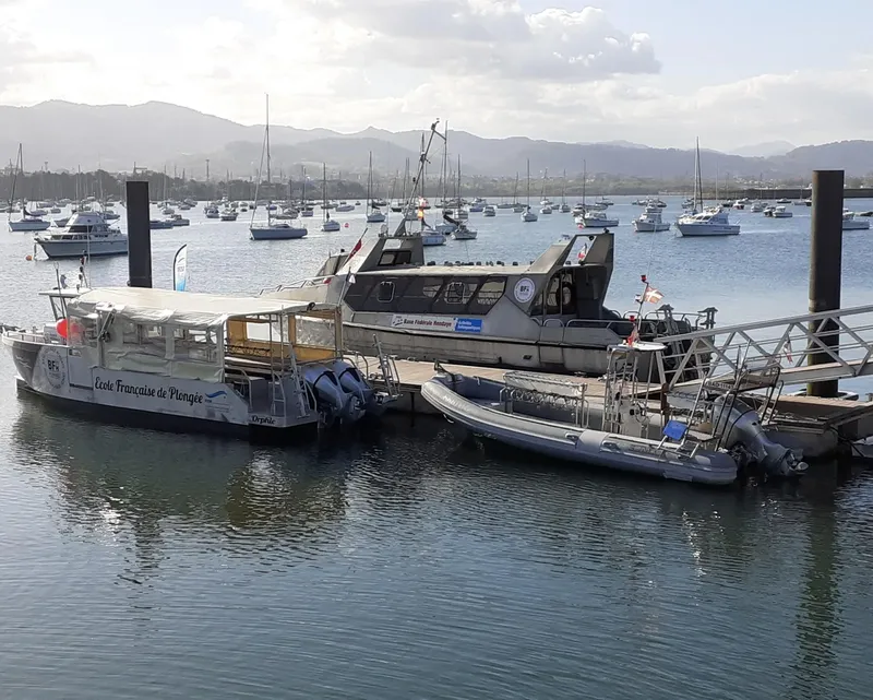 Plusieurs bateaux amarrés dans un port, avec un ponton d'accès