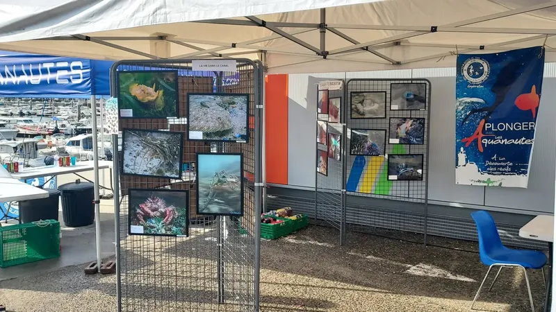 Stand de plongée avec exposition de photos sous-marines et affiches colorées