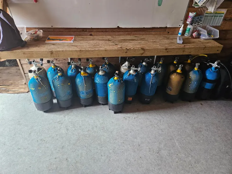 Rangée de bouteilles de plongée alignées sur une étagère en bois