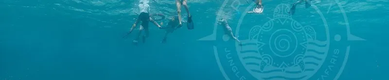 Plongeurs explorent les fonds marins, lumière bleue, visibilité claire