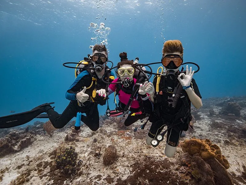 Trois plongeurs souriants font des signes de validation sous l'eau