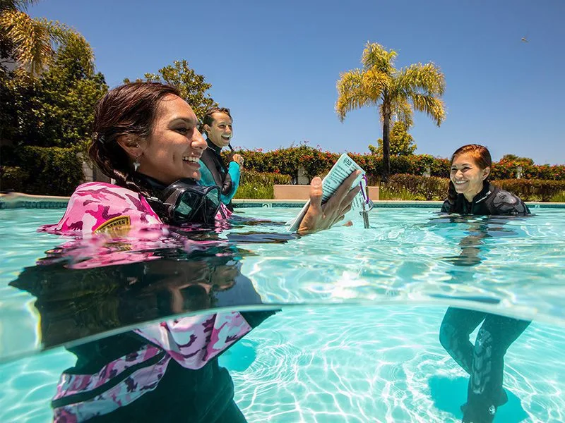 Trois femmes en combinaison de plongée dans une piscine ensoleillée