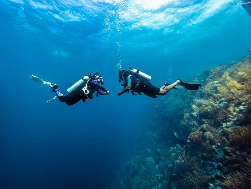 Deux plongeurs explorent un récifal corallien en eau bleue claire