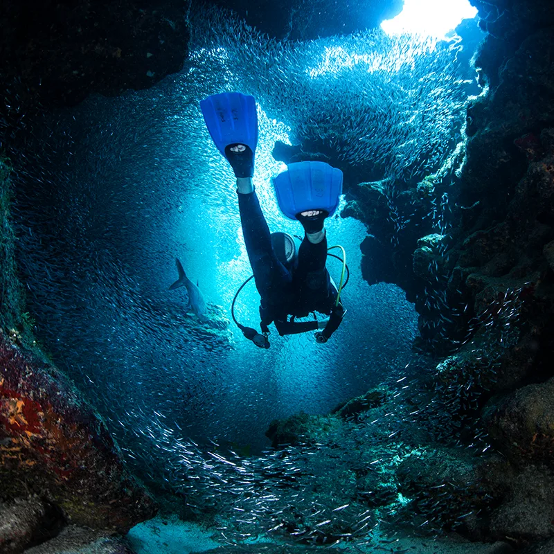 Plongeur explorant une grotte sous-marine entouré d'un banc de poissons