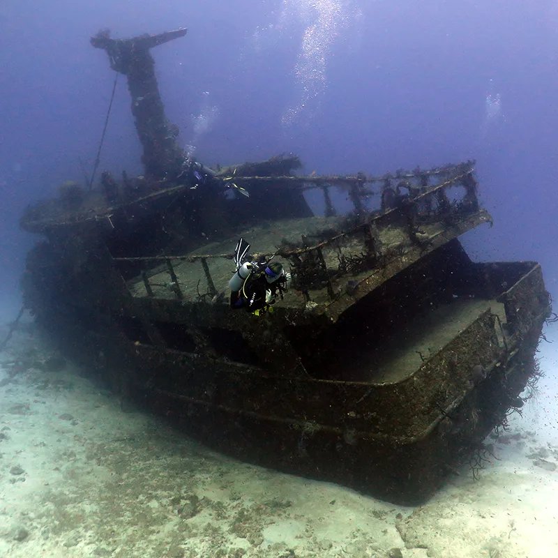 Plongeurs explorant l'épave d'un bateau rouillé sur fond sableux