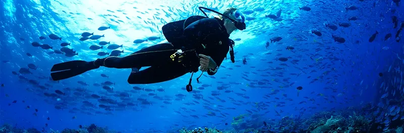 Plongeur en combinaison noire évolue au milieu d'un banc de poissons