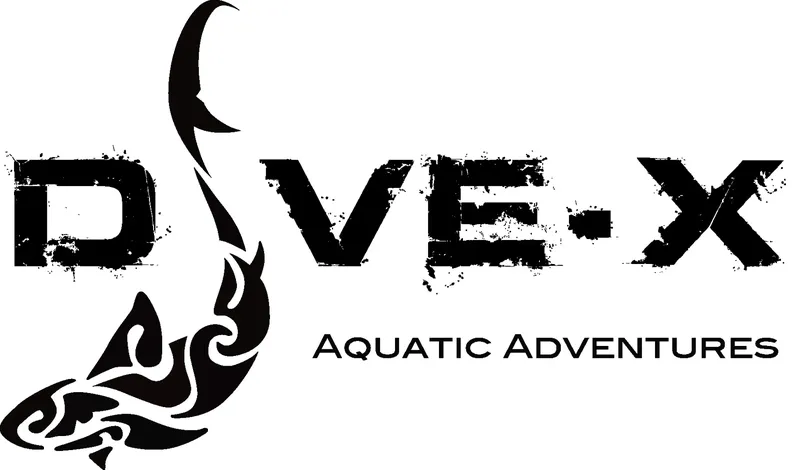 Logo noir avec un requin et le texte DIVE-X Aquatic Adventures